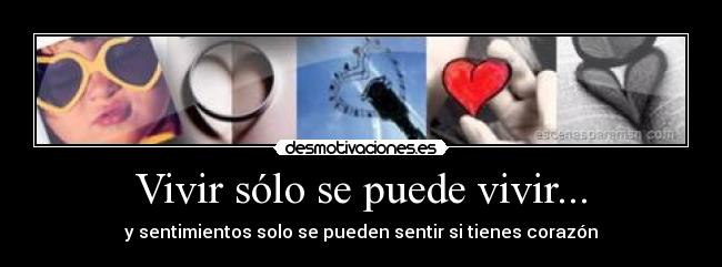 Vivir sólo se puede vivir... -