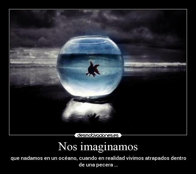 Nos imaginamos - que nadamos en un océano, cuando en realidad vivimos atrapados dentro
de una pecera ...