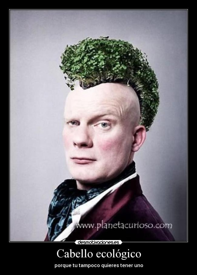 Cabello ecológico - porque tu tampoco quieres tener uno