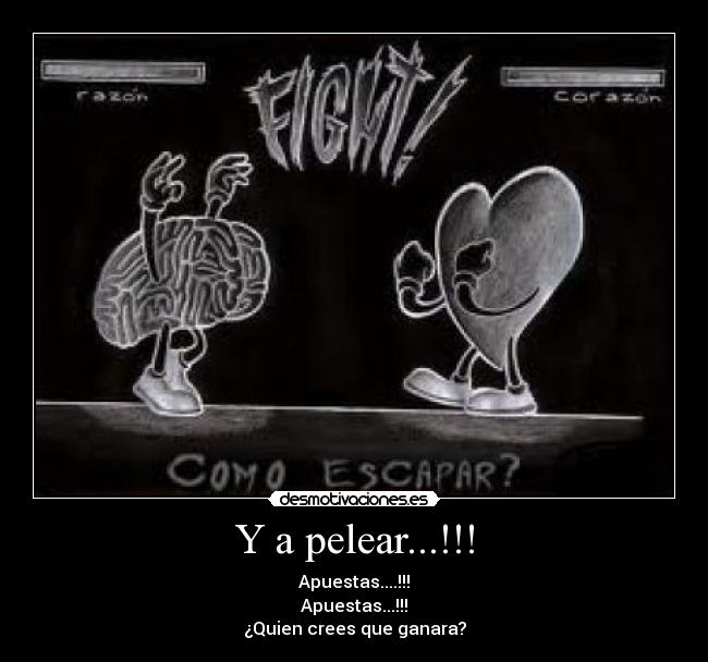 Y a pelear...!!! - Apuestas....!!!
Apuestas...!!!
¿Quien crees que ganara?