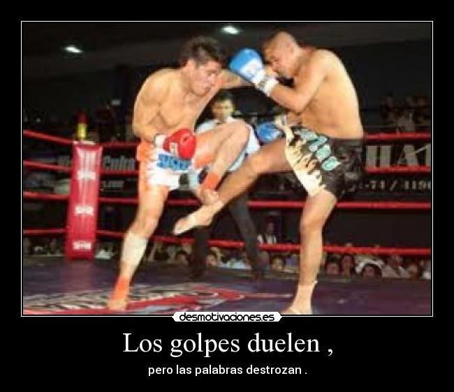 Los golpes duelen , - pero las palabras destrozan .