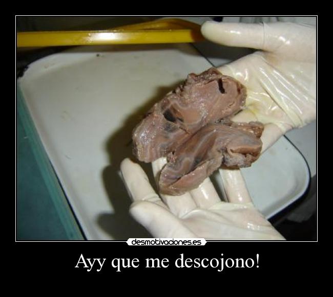 Ayy que me descojono! -