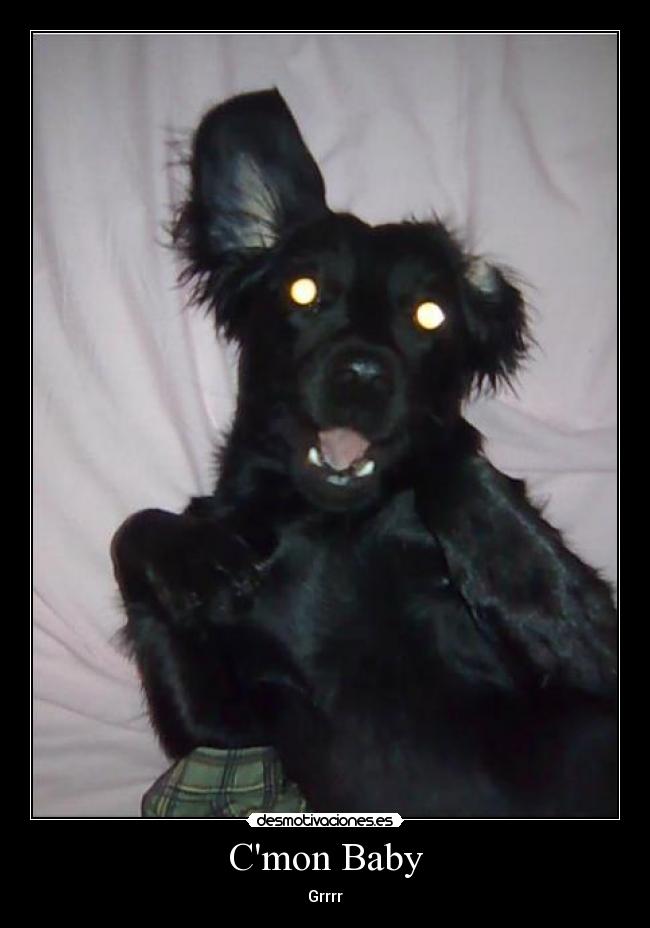 Cmon Baby - Grrrr