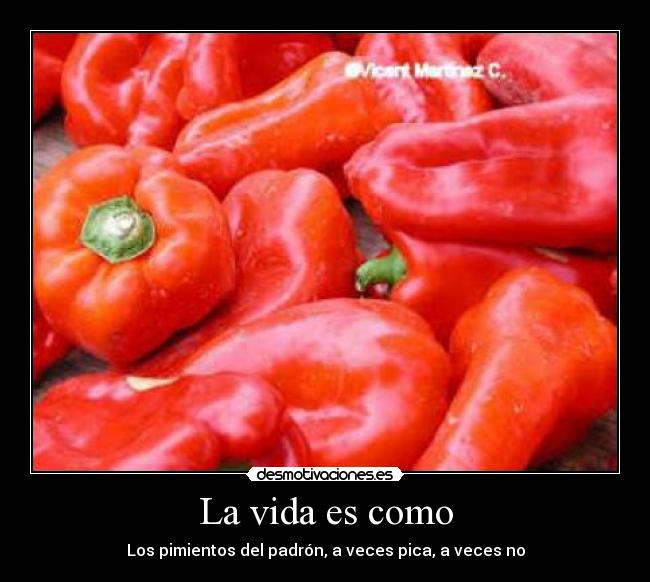 La vida es como - Los pimientos del padrón, a veces pica, a veces no