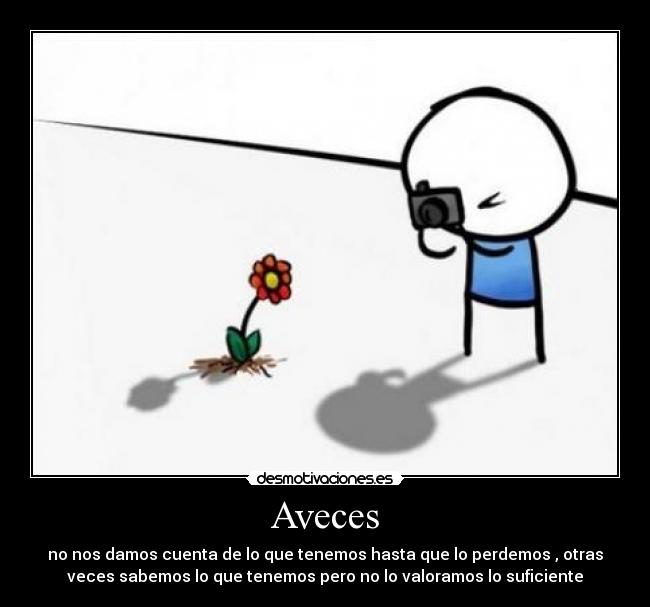 Aveces - 