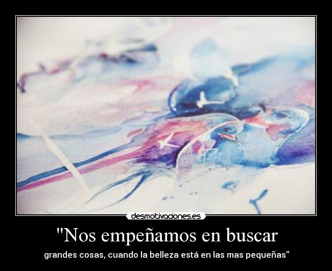 Nos empeñamos en buscar -