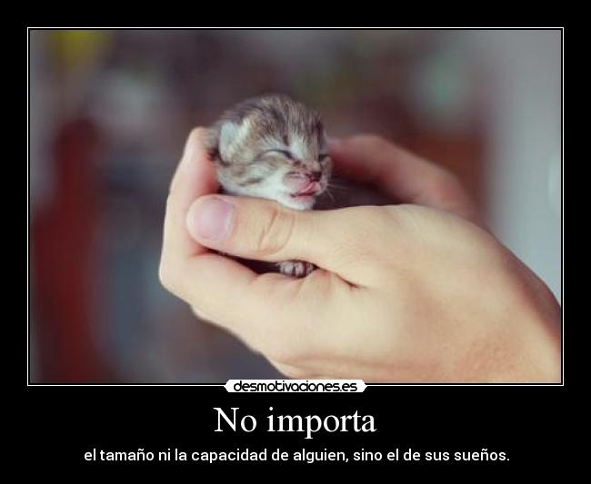 No importa - 