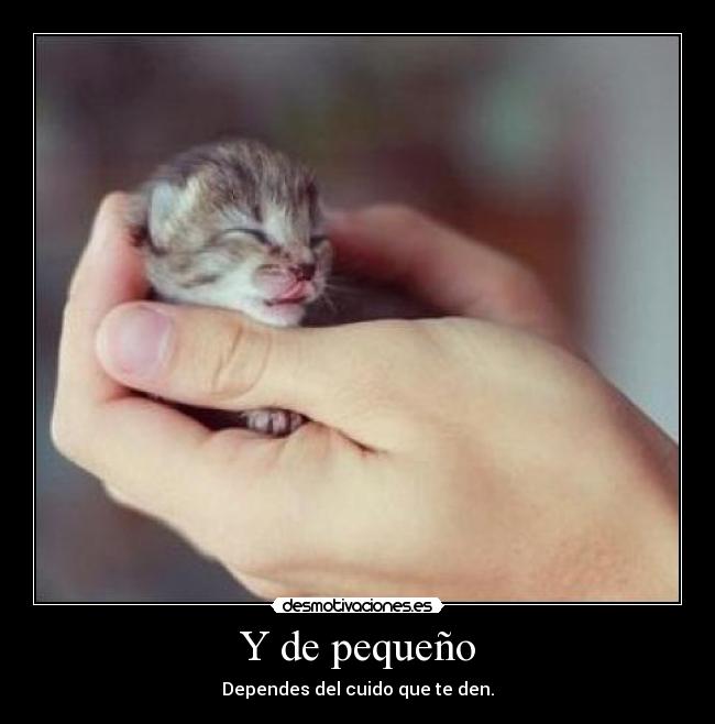 Y de pequeño - Dependes del cuido que te den.