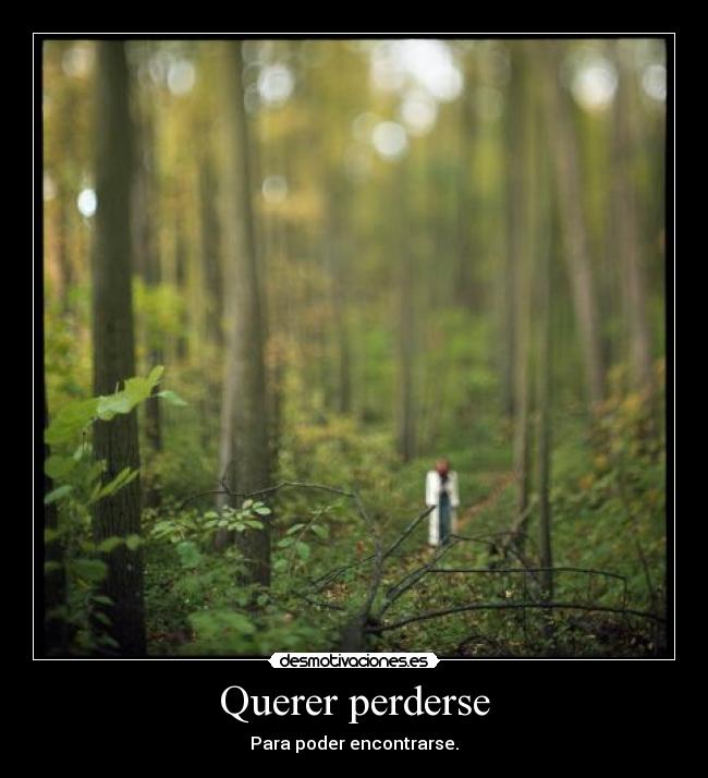 Querer perderse -