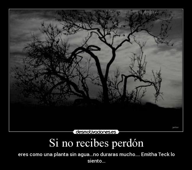 Si no recibes perdón - eres como una planta sin agua...no duraras mucho.... Emitha Teck lo siento...