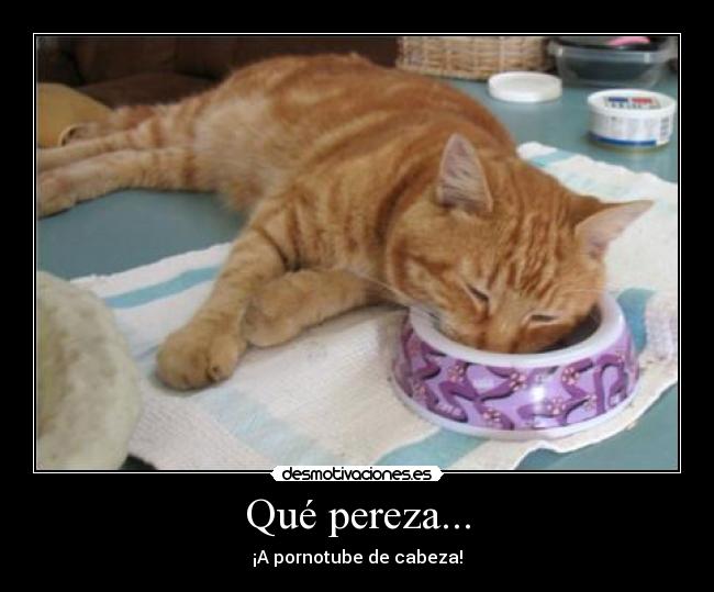 Qué pereza... - ¡A pornotube de cabeza!