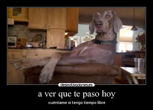 a ver que te paso hoy - cuéntame si tengo tiempo libre