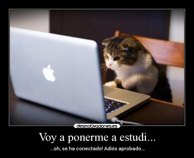 carteles siempre acaba liando desmotivaciones