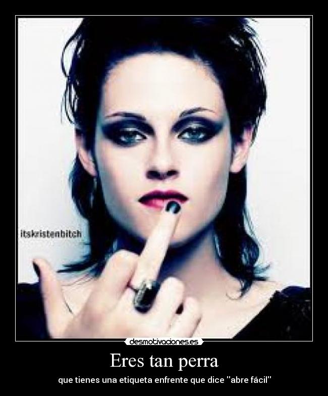 Eres tan perra - que tienes una etiqueta enfrente que dice abre fácil