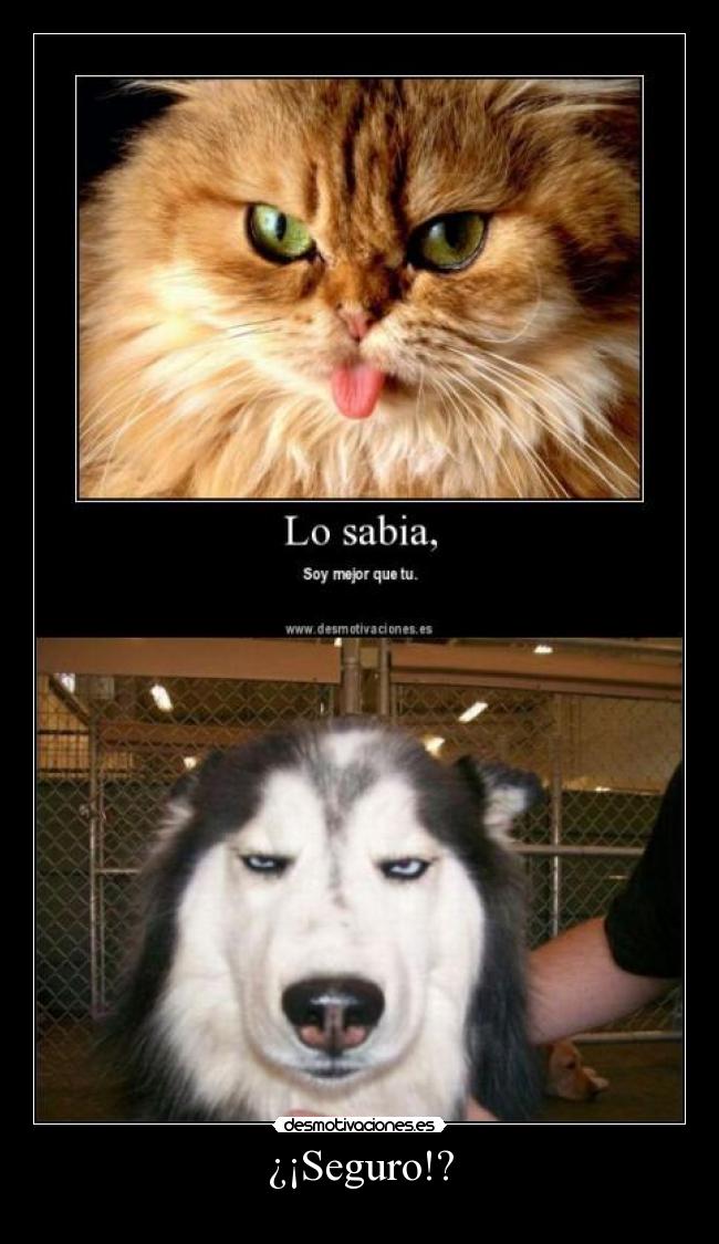¿¡Seguro!? -