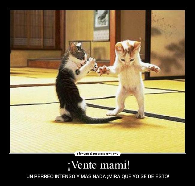 ¡Vente mami! -