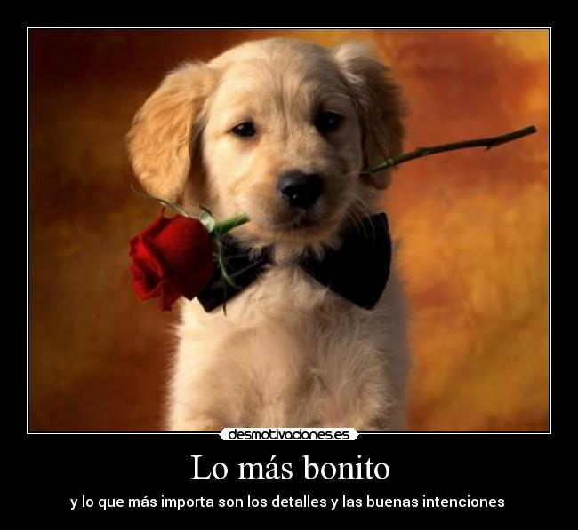 Lo más bonito - y lo que más importa son los detalles y las buenas intenciones ♥