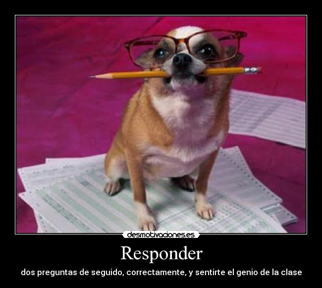Responder - dos preguntas de seguido, correctamente, y sentirte el genio de la clase
