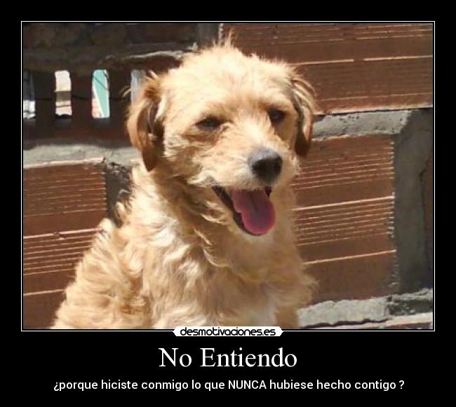 No Entiendo -