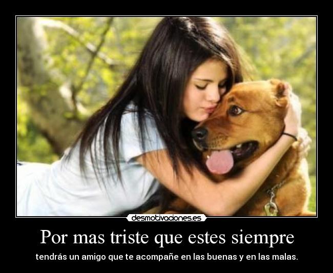 Por mas triste que estes siempre - tendrás un amigo que te acompañe en las buenas y en las malas.