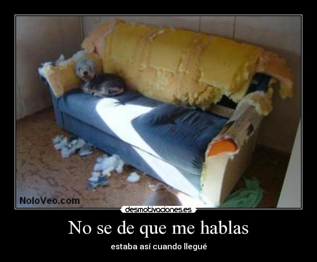 No se de que me hablas - estaba así cuando llegué