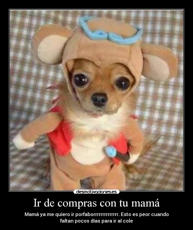 carteles cole desmotivaciones