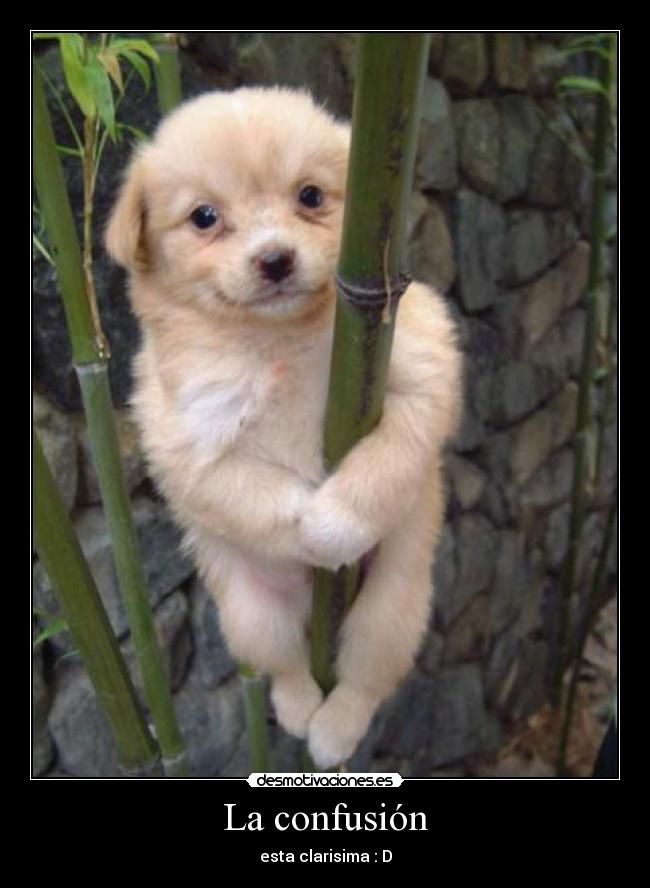 La confusión -