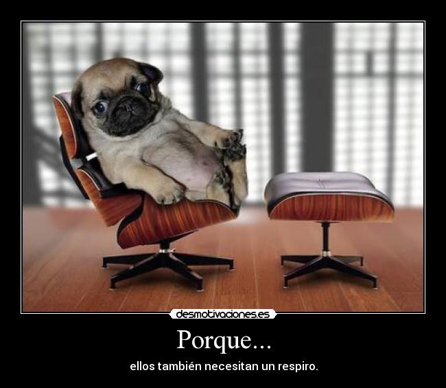 Porque... - 