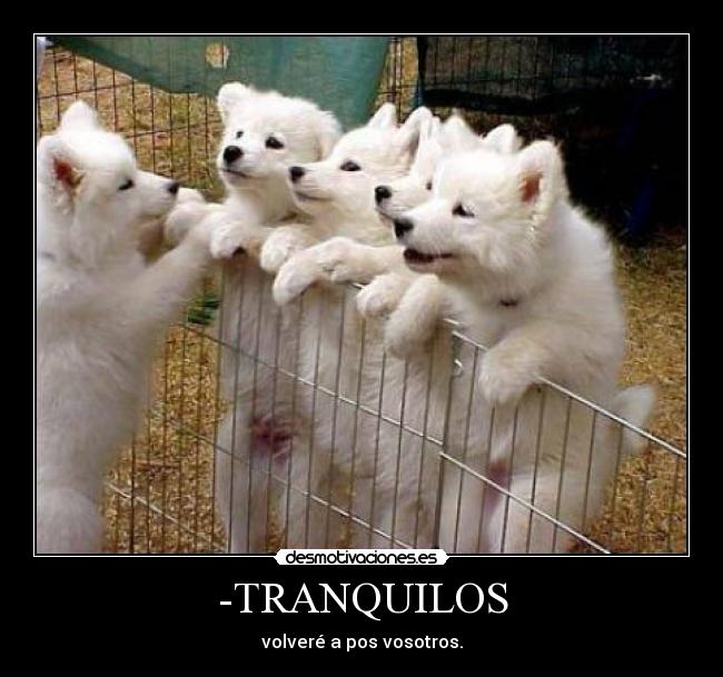 -TRANQUILOS - 