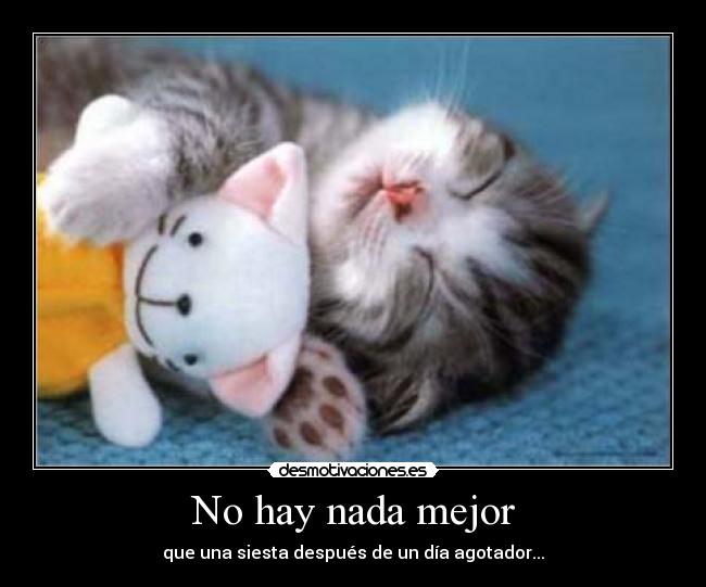 No hay nada mejor - que una siesta después de un día agotador...