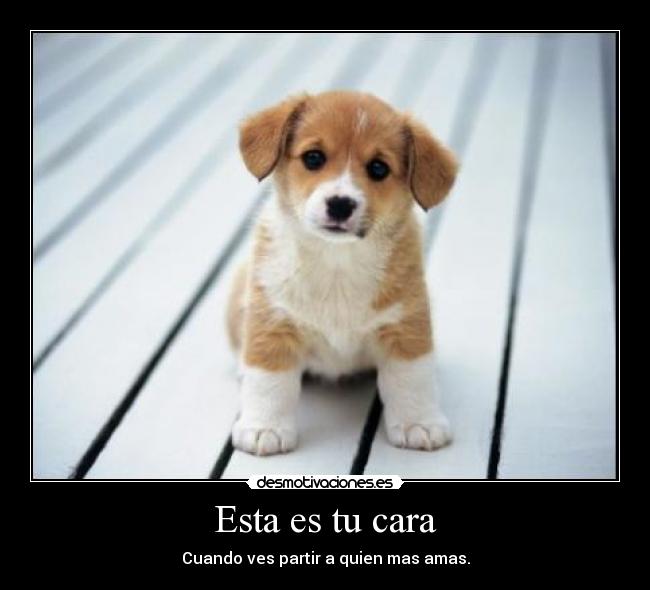 Esta es tu cara - Cuando ves partir a quien mas amas.