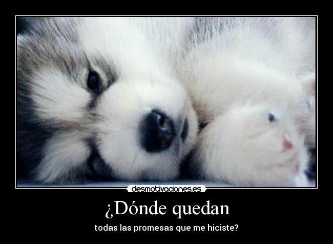 ¿Dónde quedan - todas las promesas que me hiciste?