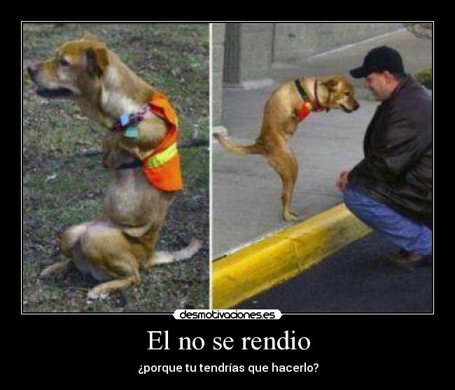 El no se rendio -