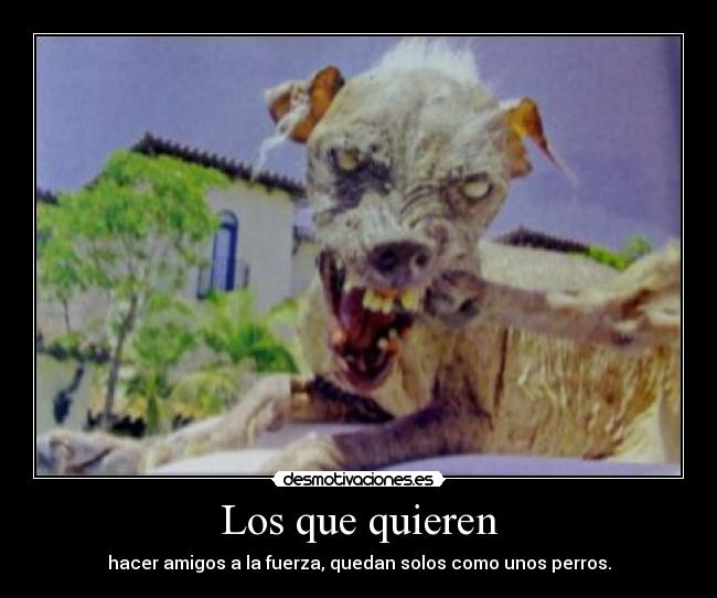 Los que quieren - hacer amigos a la fuerza, quedan solos como unos perros.