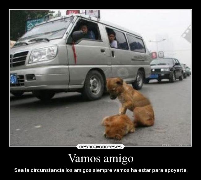 Vamos amigo -