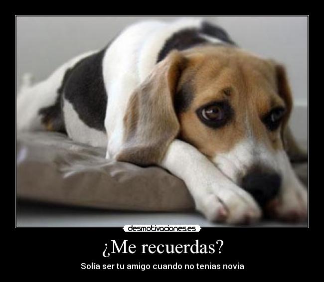 ¿Me recuerdas? - Solía ser tu amigo cuando no tenias novia