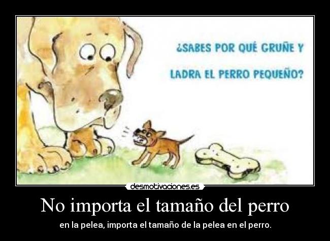 No importa el tamaño del perro -