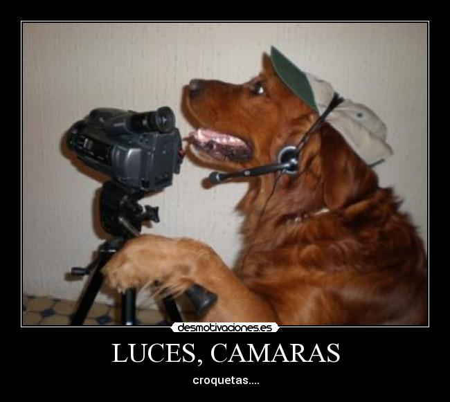 carteles chistaco espero que gane ptos para pasarlo jojojo desmotivaciones