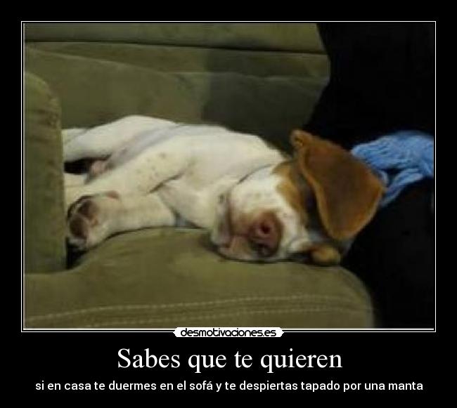 Sabes que te quieren - si en casa te duermes en el sofá y te despiertas tapado por una manta