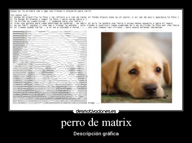 perro de matrix -
