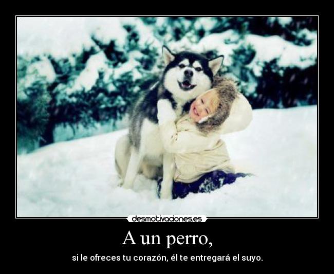 A un perro, -