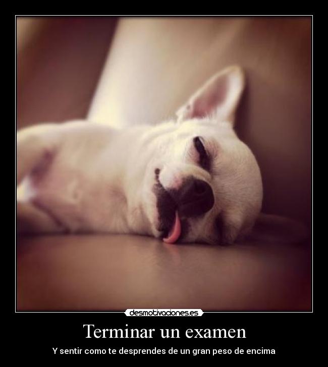 Terminar un examen - 