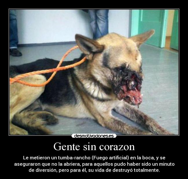 Gente sin corazon - Le metieron un tumba-rancho (Fuego artificial) en la boca, y se
aseguraron que no la abriera, para aquellos pudo haber sido un minuto
de diversión, pero para él, su vida de destruyó totalmente.
