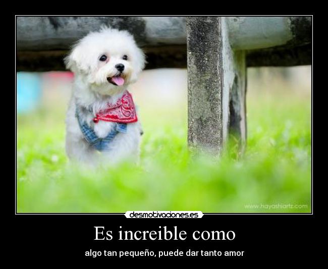 Es increible como - 