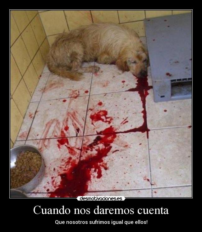 Cuando nos daremos cuenta -