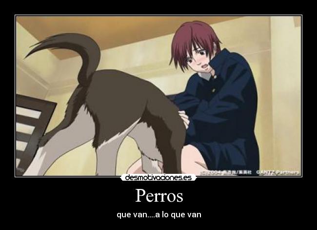 Perros - que van....a lo que van