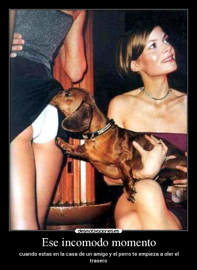 Ese incomodo momento - cuando estas en la casa de un amigo y el perro te empieza a oler el trasero