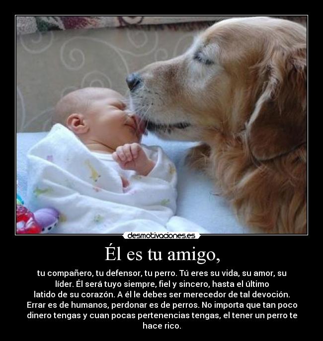 Él es tu amigo, -