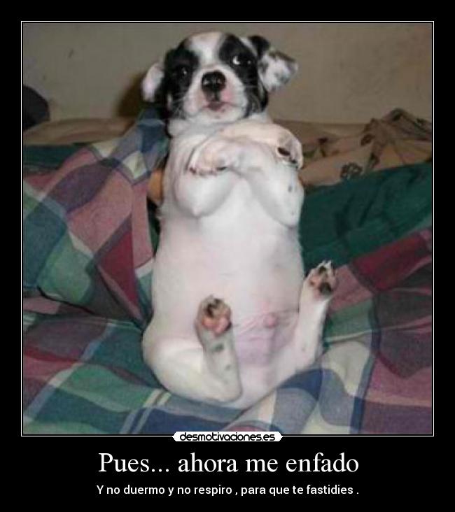 Pues... ahora me enfado - Y no duermo y no respiro , para que te fastidies .
