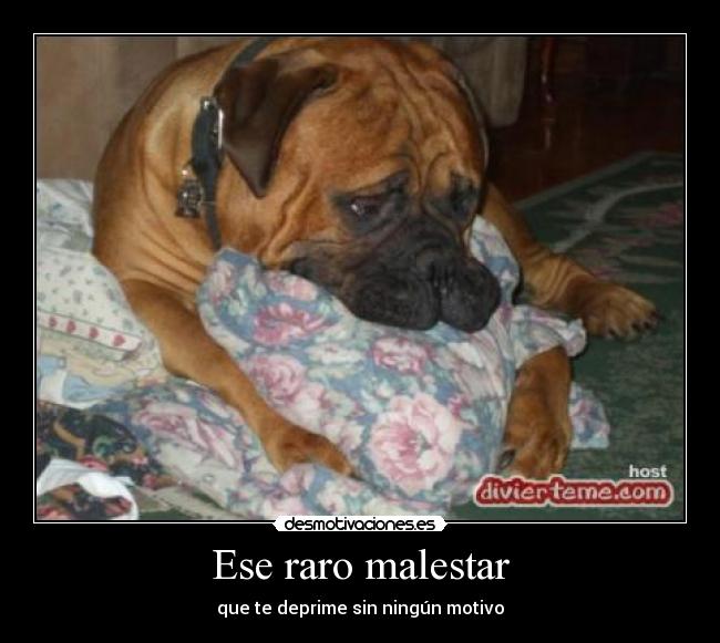 Ese raro malestar -